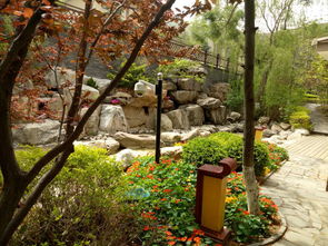 別墅造景 錦州正規(guī)的別墅造景 大連群益