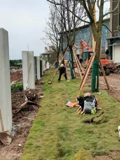 大爺89歲還為人民服務(wù),根本沒有假期 施工現(xiàn)場實拍 致敬平凡的你 施工現(xiàn)場 園林綠化工程