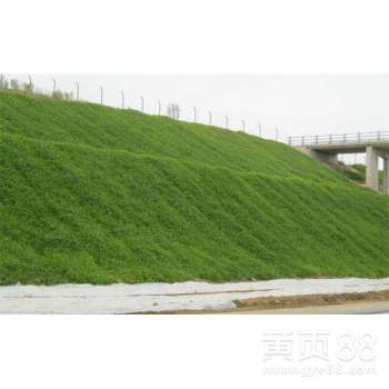 【自己的噴播設(shè)備,多年的綠化邊坡經(jīng)驗(yàn),承接邊坡綠化施工】- 