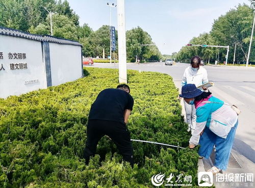 青州市園林綠化和環(huán)衛(wèi)中心 卡準(zhǔn)綠化施工精度尺，拉緊項(xiàng)目驗(yàn)收質(zhì)量繩——以高標(biāo)準(zhǔn)打造體育場(chǎng)地設(shè)施工程